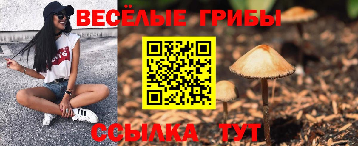 Галлюциногенные грибы Psilocybe  Вход с VPN  Псилоцибиновые грибы Magic Shrooms  Димитровград 